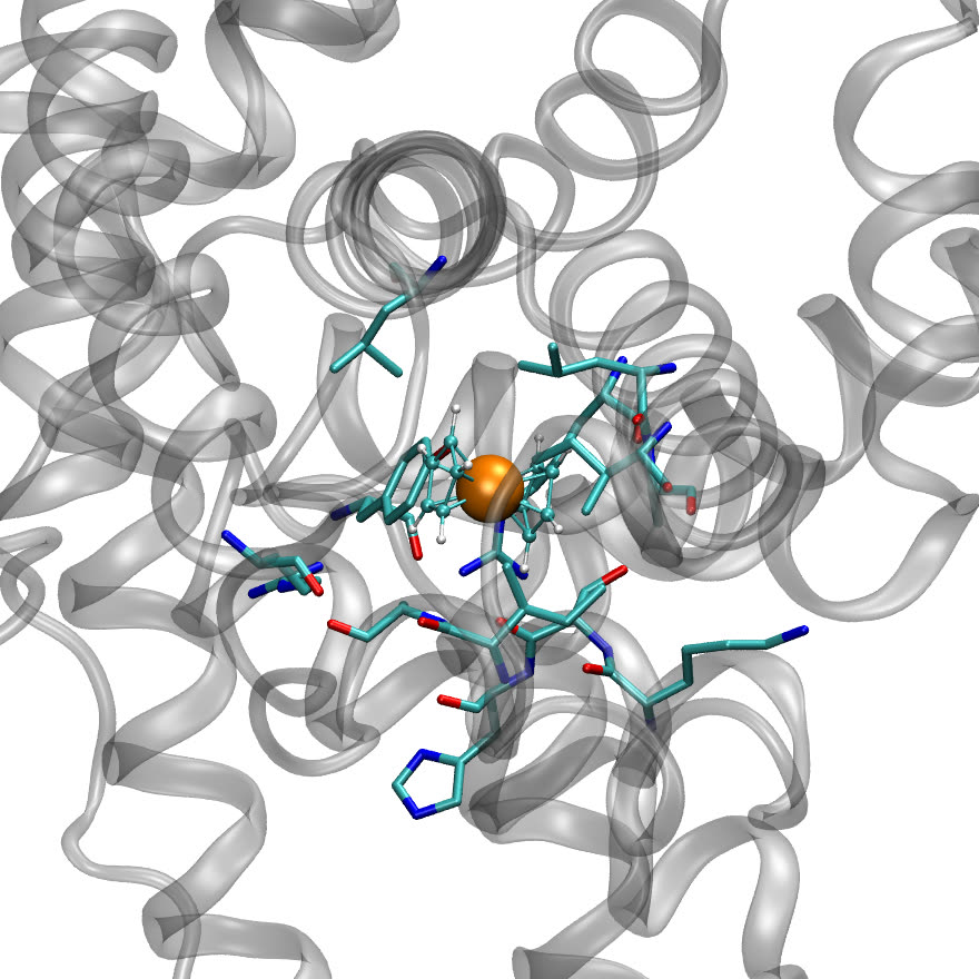 The docked pose inside Sudlow site I, contacting residues as sticks, albumin in cartoon