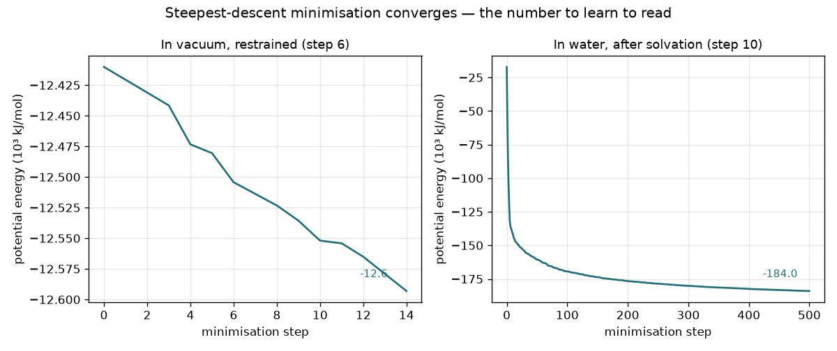 Potential energy during the two minimisations: the in-vacuo one converges in 15 steps; the solvated one falls by 1.6 × 10⁵ kJ/mol and is still descending at step 500