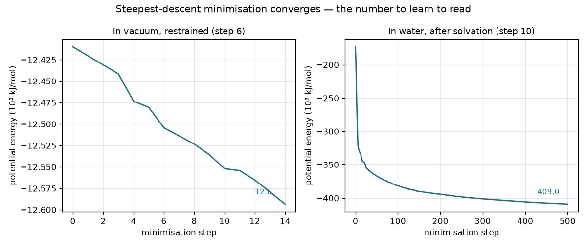Potential energy during the two minimisations: the in-vacuo one converges in 15 steps; the solvated one falls by 2.4 × 10⁵ kJ/mol and is still descending at step 500