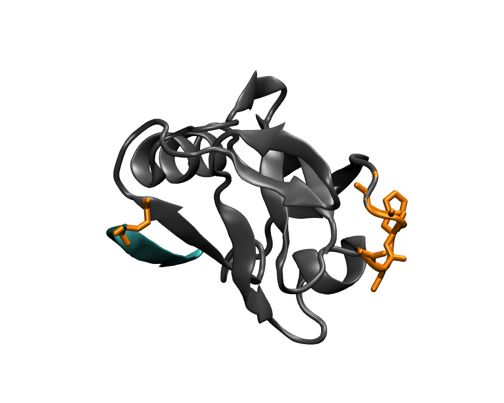 The completed model: the PDZ domain in grey, the peptide in teal, the six rebuilt residues in orange